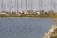 IMGP1637