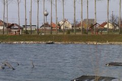 IMGP1645