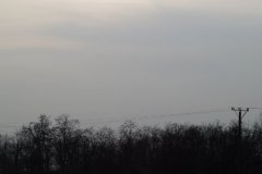 IMGP1647