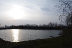 IMGP1648
