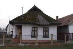 IMGP1686