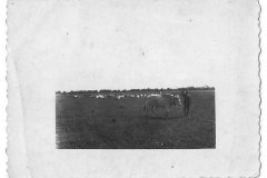 20_adik_sz_2_dik_fele14