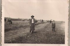 20_adik_sz_2_dik_fele18