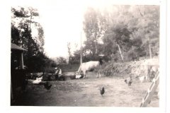 20_adik_sz_2_dik_fele32